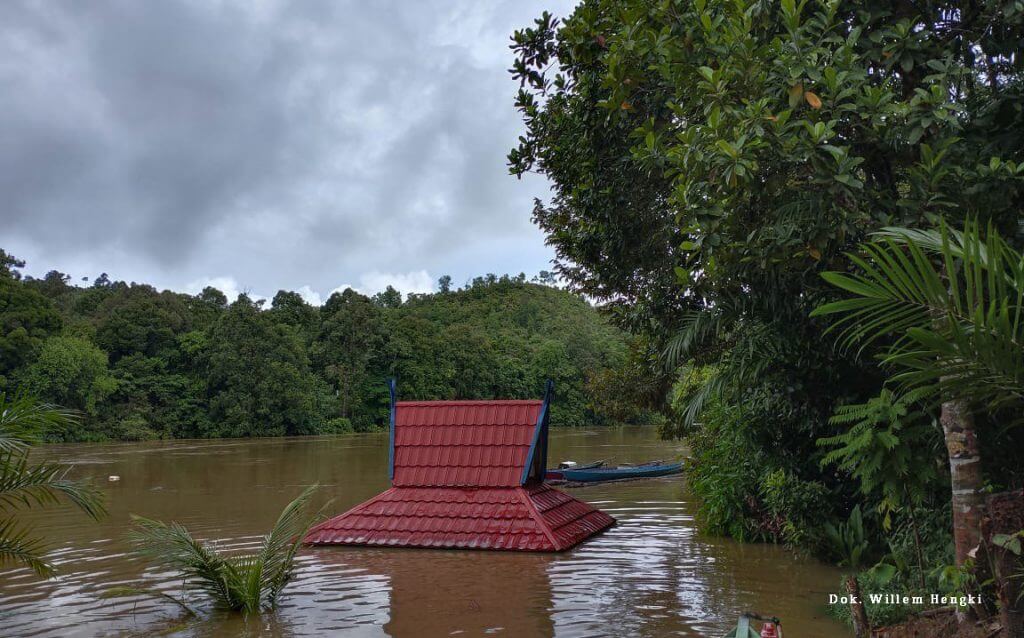 Terima Dampak Ekologi, Kinipan Banjir Besar post thumbnail